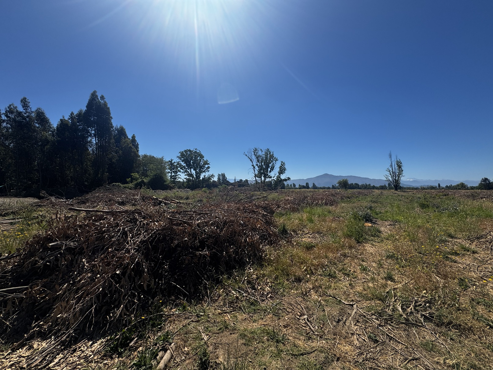 Preparación de terreno en San Luis de Molina