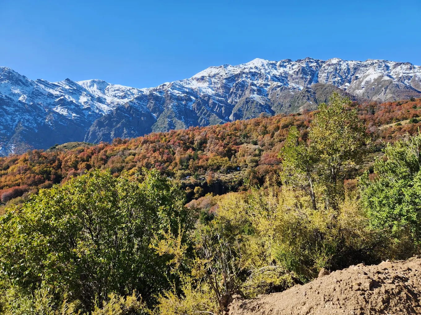 Santuario de la Naturaleza Alto Huemul en la precordillera